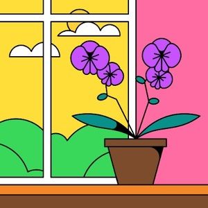 Meet your Posher, Betsy